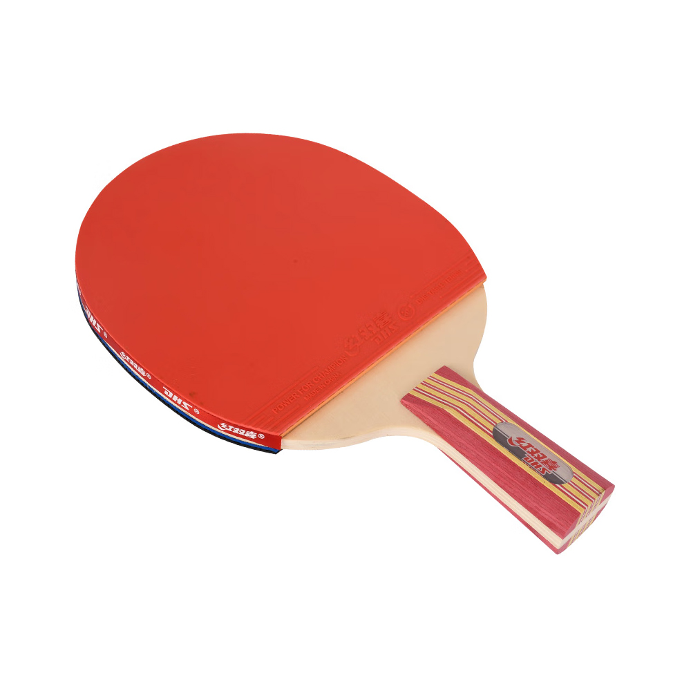 Ping pong paddle