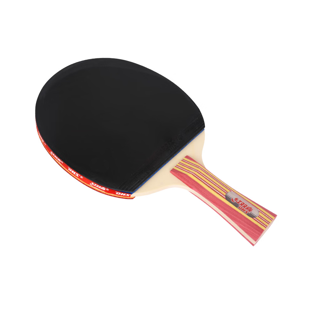 Ping pong paddle