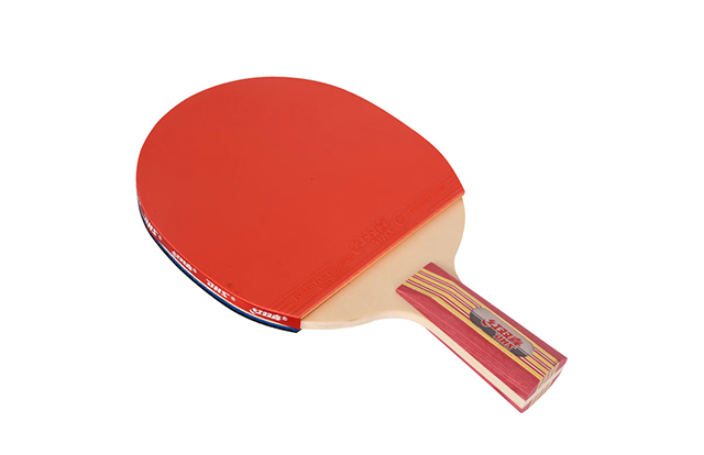 Ping pong paddle